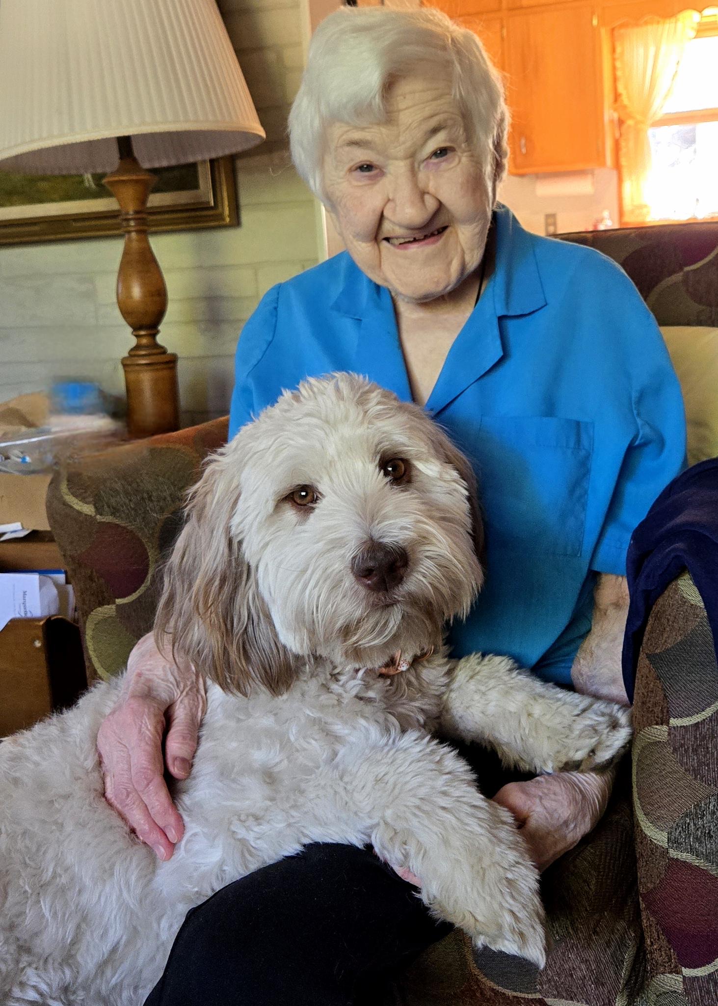 Meet K9 Glory the official comfort dog of the Marquette County