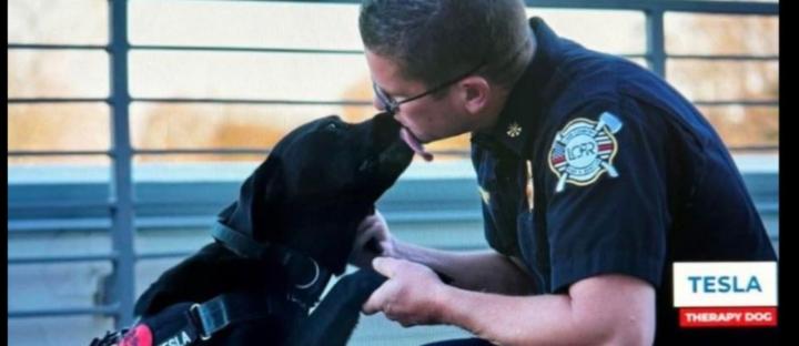 K9 Tesla